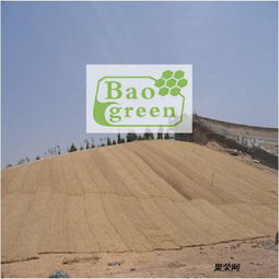 護(hù)坡植被墊植草毯廠家現(xiàn)貨直銷(xiāo) 生態(tài)建材銷(xiāo)售新選擇