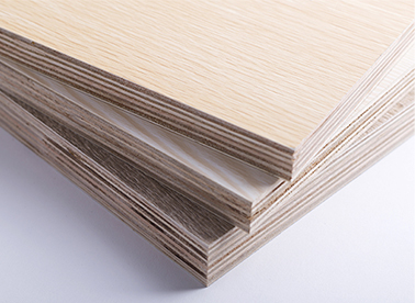 西林木業(yè) 點(diǎn)滴關(guān)愛(ài)，從我做起，共筑綠色家園